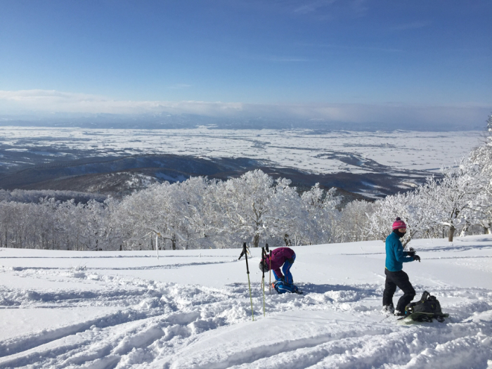 次は山にハイクします_f0232845_12445543.jpg