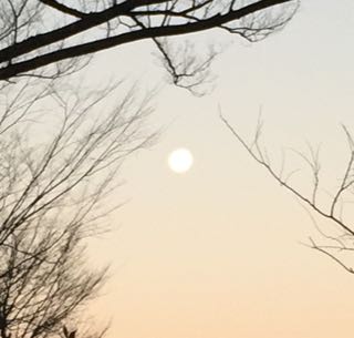 f0372146_13125659.jpg