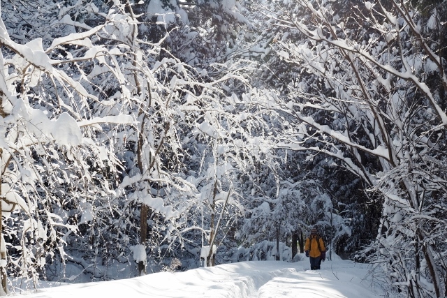 2017/1/15 弥彦山_b0189948_19125621.jpg