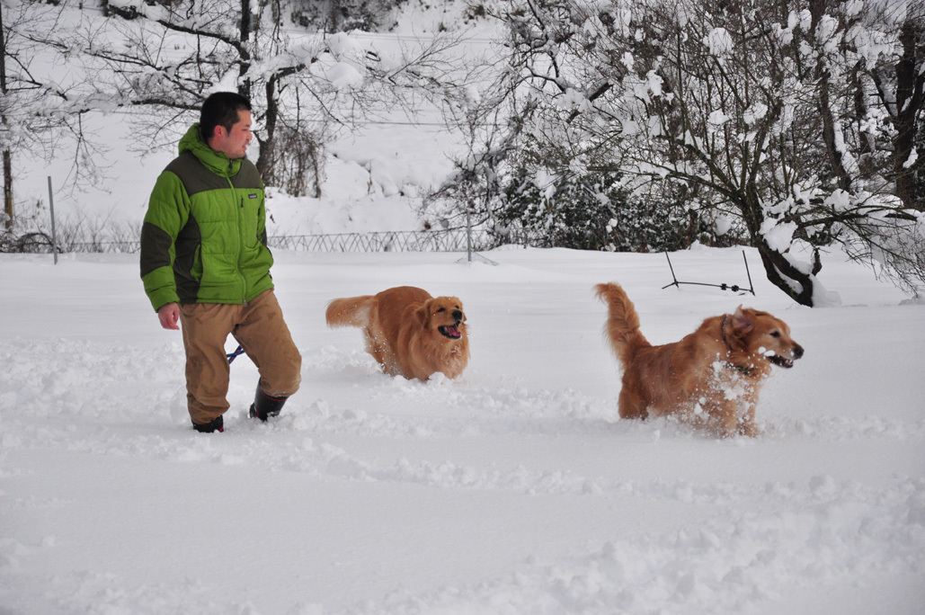 雪と牧場　その２　1/15_b0214652_16161911.jpg