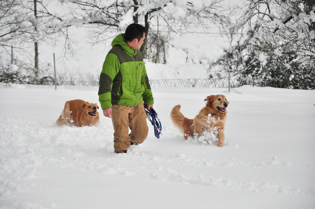 雪と牧場　その２　1/15_b0214652_16181025.jpg