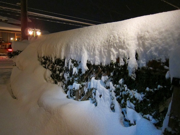 昨日の夜、雪は続き・・・_c0327752_10285301.jpg