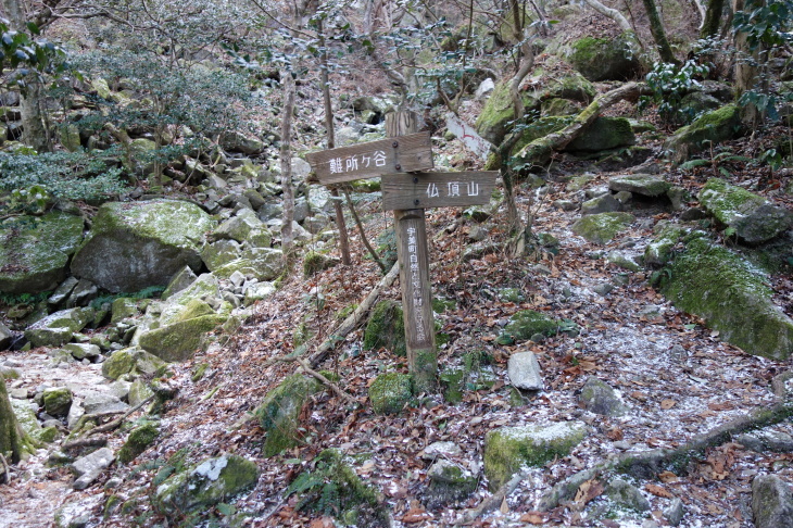 d0345153_11421755.jpg