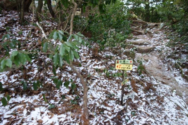 d0345153_12034747.jpg
