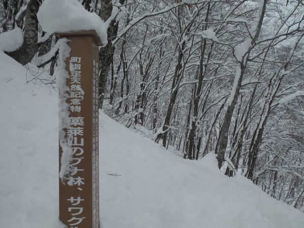 c0294658_22094939.jpg