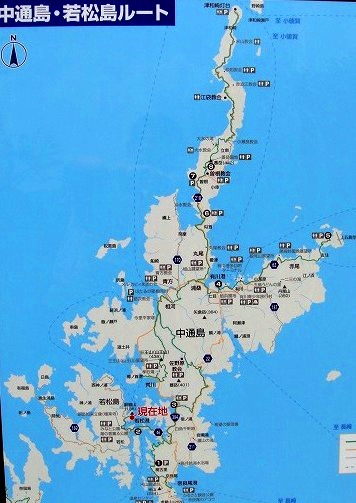 c0119160_1504410.jpg