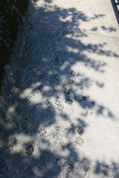 e0255060_23242504.jpg