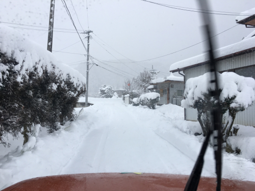 雪国生まれのうらしま太郎_c0353163_13243979.jpg