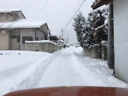 雪国生まれのうらしま太郎_c0353163_13243986.jpg