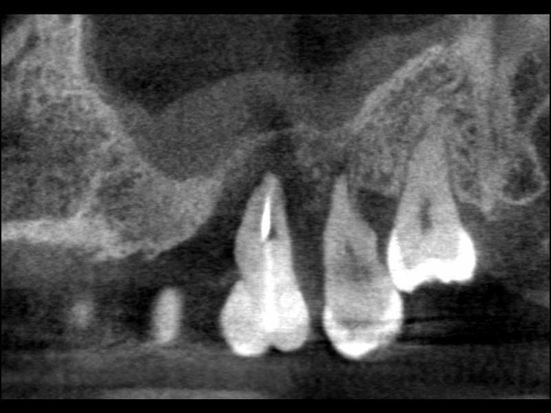 b0119466_20011208.jpg