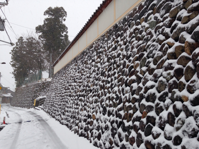 雪が積もりました。_d0018868_19024485.jpg