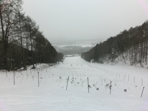 e0045768_20392362.jpg