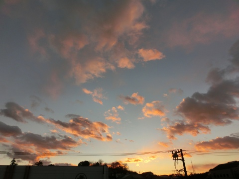 e0045768_2174180.jpg
