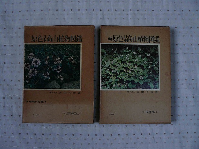d0019074_8551498.jpg