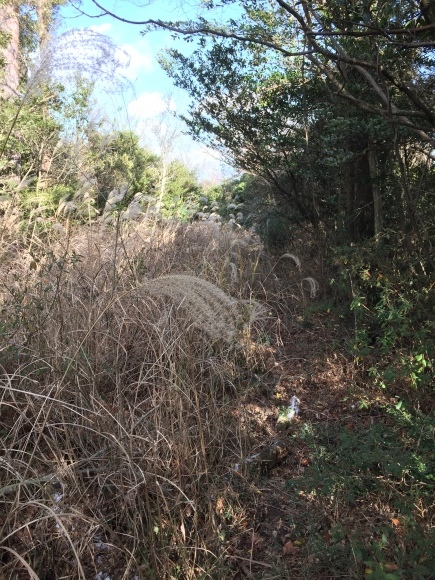 冷たい風の中、宗極池から縦走路へ_a0320976_15272718.jpg