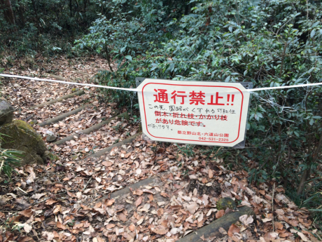 c0206177_20315217.jpg