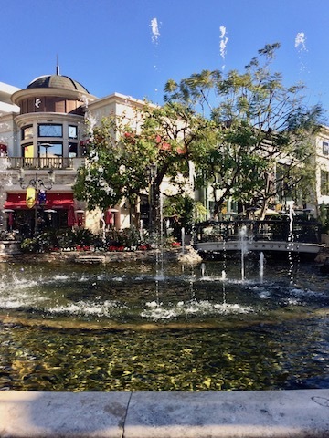 Dog Friendlyなショッピングモール_b0221179_16243684.jpg