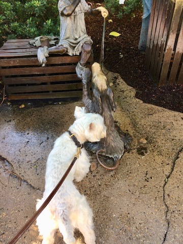 Dog Friendlyなショッピングモール_b0221179_16251755.jpg