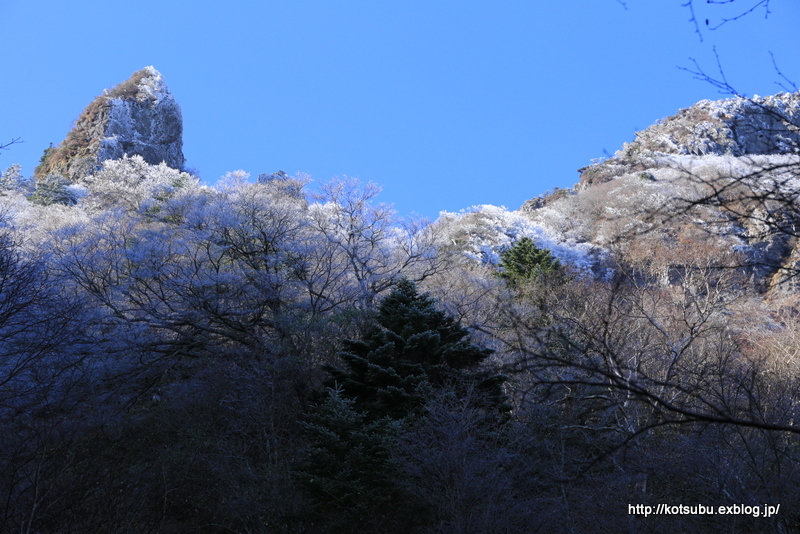 四国の山旅～①霧氷の石鎚山_e0195587_19523740.jpg