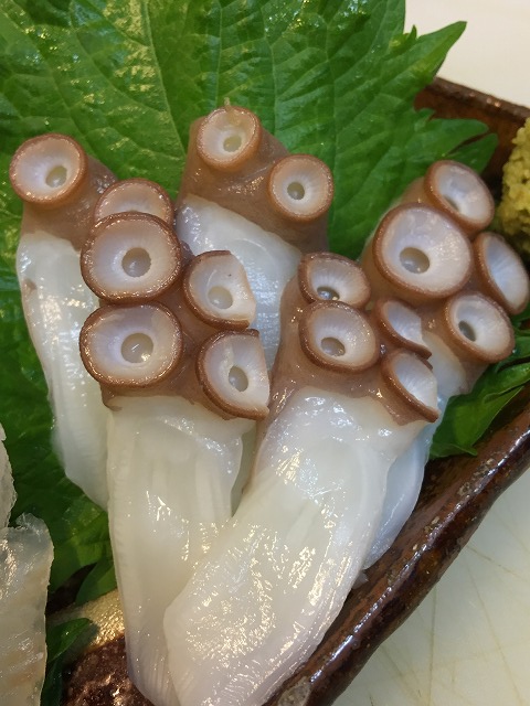 タコが少ない_d0268290_8482189.jpg