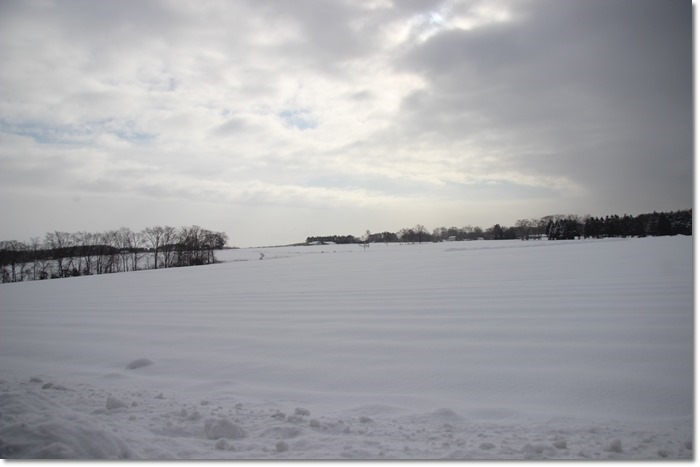 f0146493_22271279.jpg