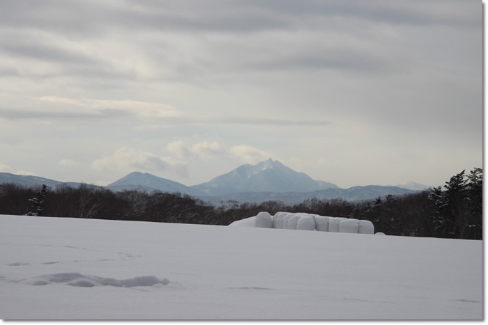 野幌周辺_f0146493_22285444.jpg