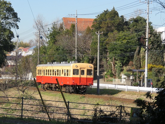 d0145794_17154113.jpg