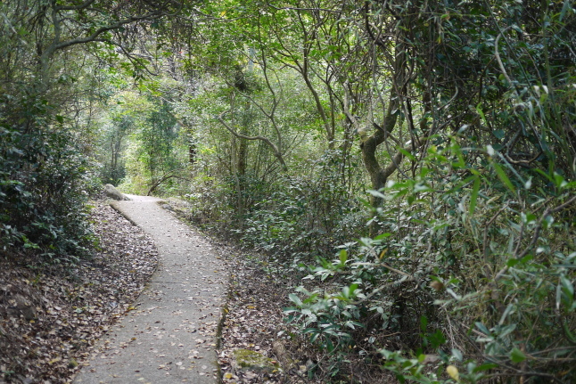 b0183295_16251236.jpg