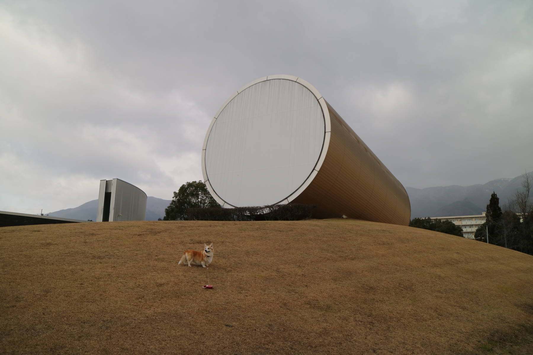 f0075595_13442841.jpg