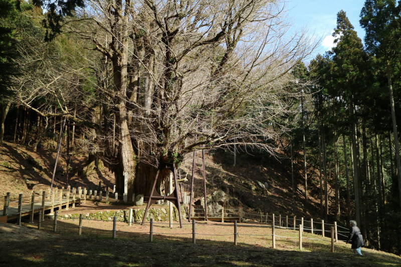 f0075595_13500765.jpg