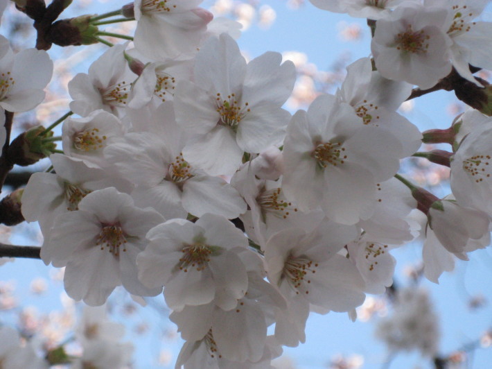 f0201297_00012440.jpg
