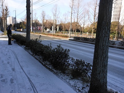 f0372998_21225439.jpg