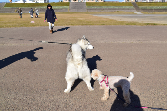 きょうは青空さんぽの日♪ (^o^)_c0049299_23135347.jpg
