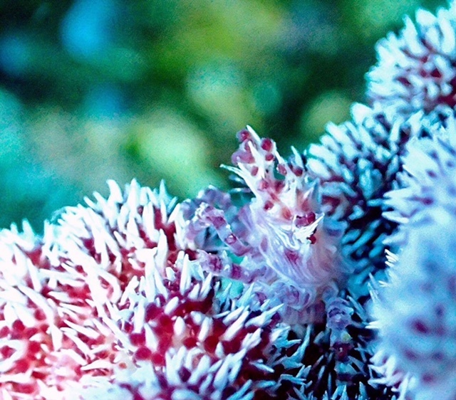 e0115199_12481790.jpg