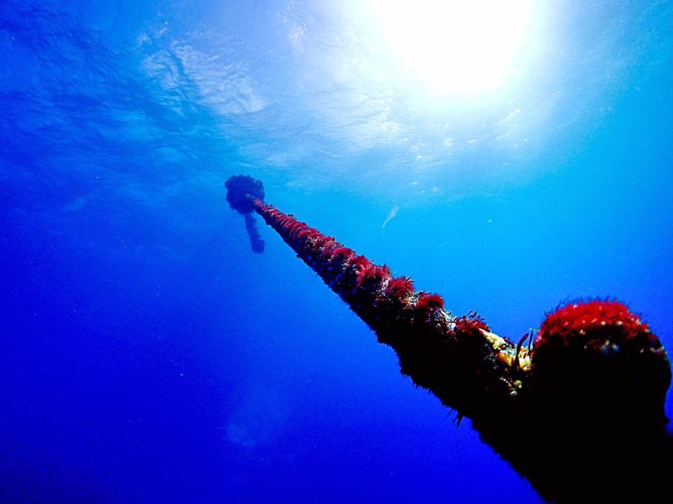 e0115199_12481810.jpg