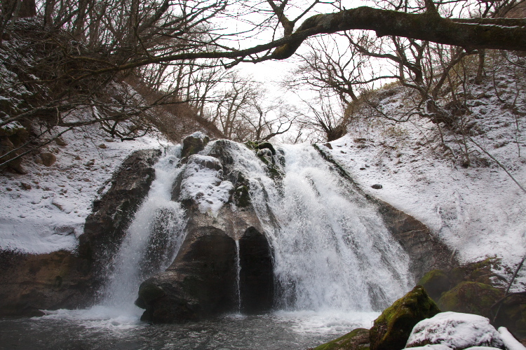 f0130601_21404573.jpg
