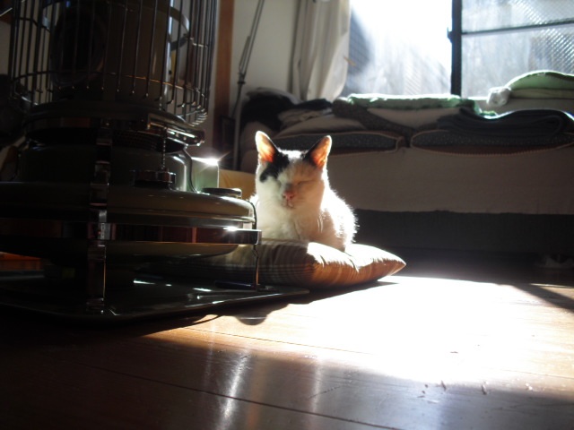 a0200902_16525975.jpg