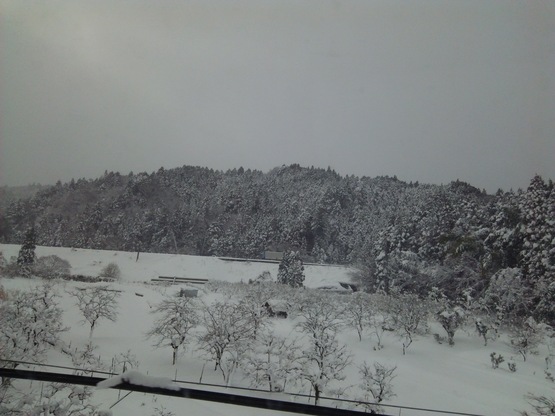 c0212604_9584637.jpg