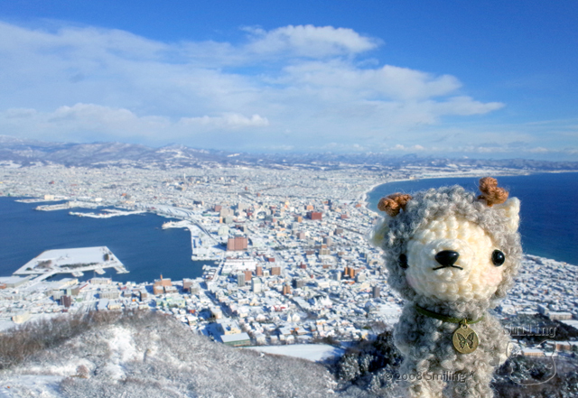 [あみぐるみのお出かけ][写真] 函館山山頂から雪景色の函館の街を撮りに行って来ました♪_f0340004_11075108.jpg