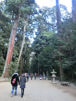d0009105_2134411.jpg