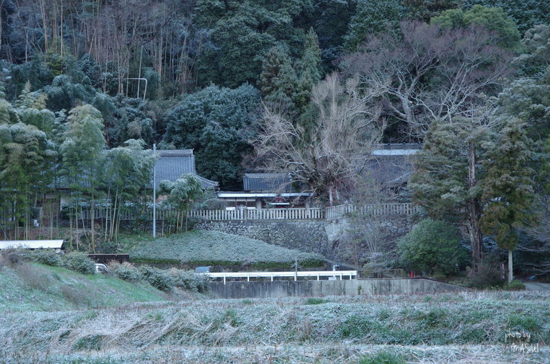 御所市　一言主神社　雪景色_d0342307_09480073.jpg