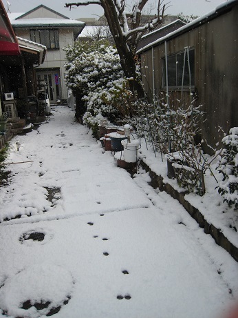 f0142308_15200889.jpg