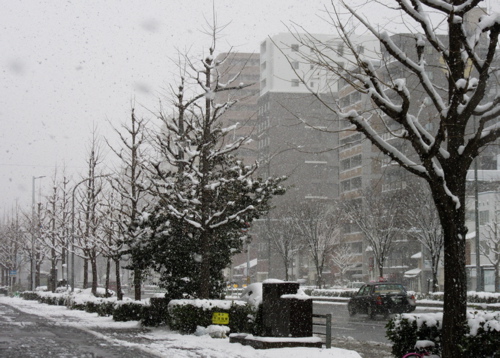 a0164011_20465783.jpg