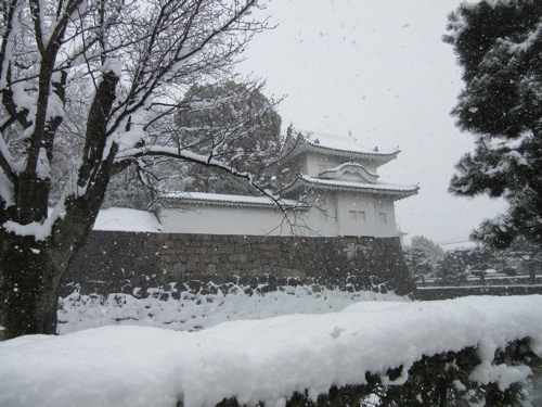 a0164011_20472847.jpg