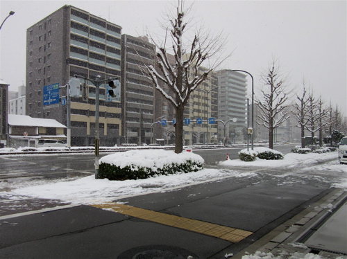 a0164011_2047352.jpg