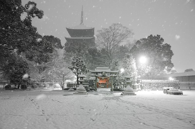 京の雪景色2017 東寺_f0032011_19415109.jpg