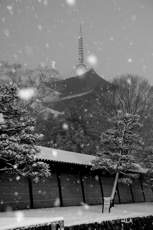 京の雪景色2017 東寺_f0032011_19415139.jpg