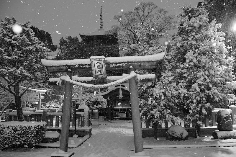 京の雪景色2017 東寺_f0032011_19415286.jpg