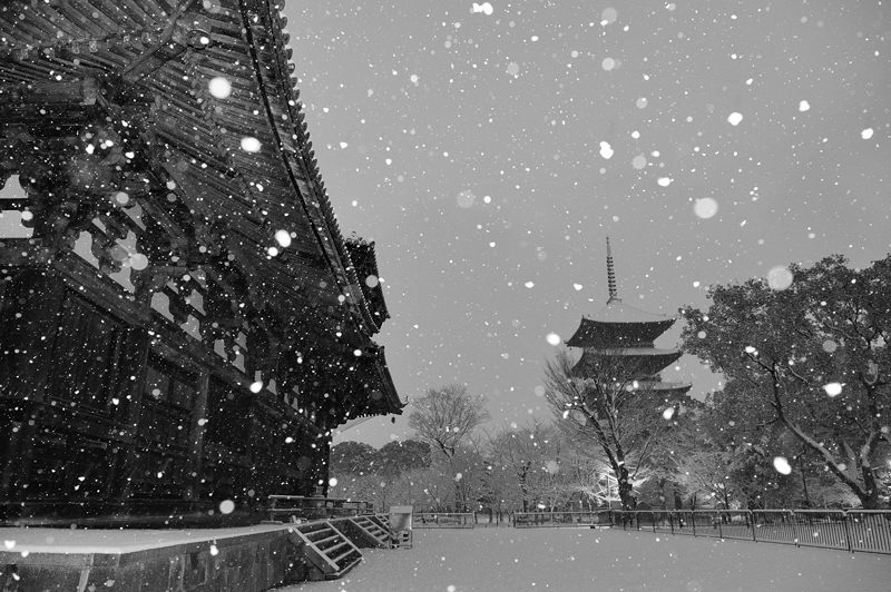 京の雪景色2017 東寺_f0032011_19415382.jpg