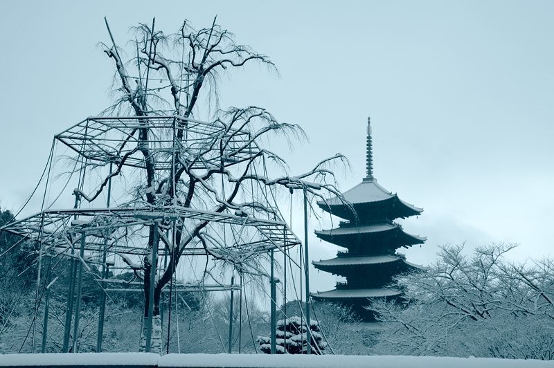 京の雪景色2017 東寺_f0032011_19494101.jpg